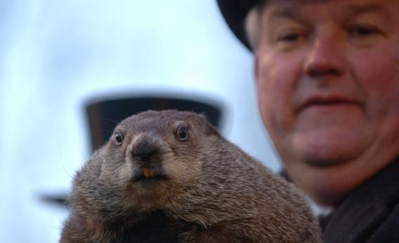 Groundhog Day | Grimsby Yoga and Wellness